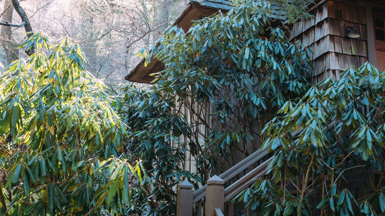 Photo of Outdoor in Highlands