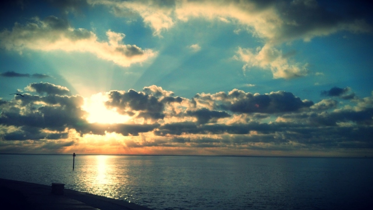 Photo of Outdoor in Coquina Key