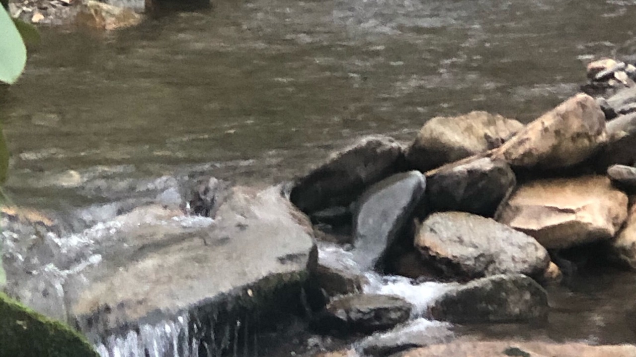 Photo of Others in Hayesville
