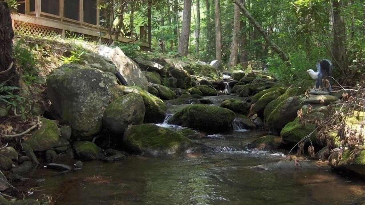 Photo of Others in Hayesville