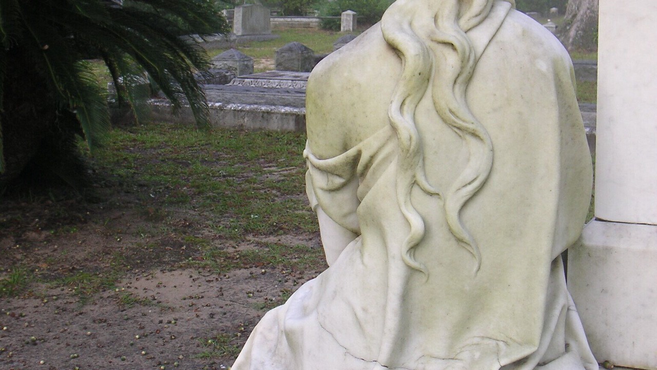 Photo of Others in Historic District - North