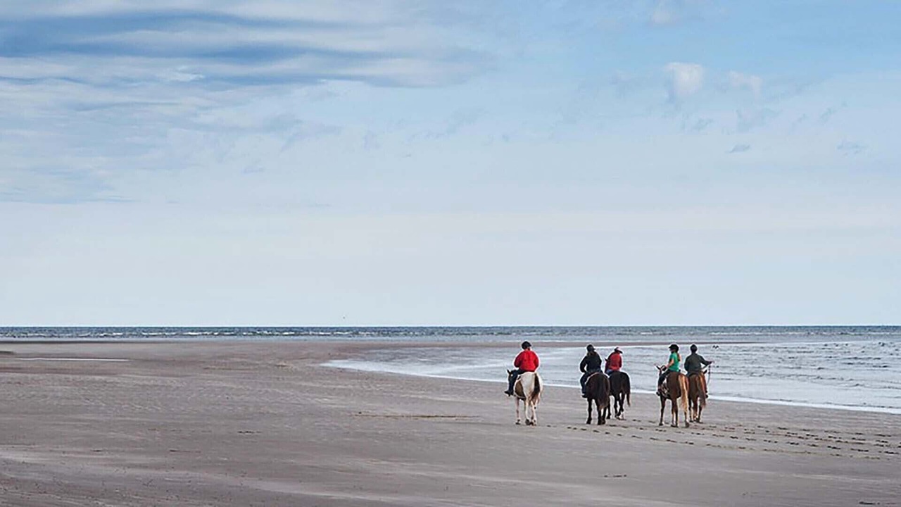 Photo of Others in Seabrook Island