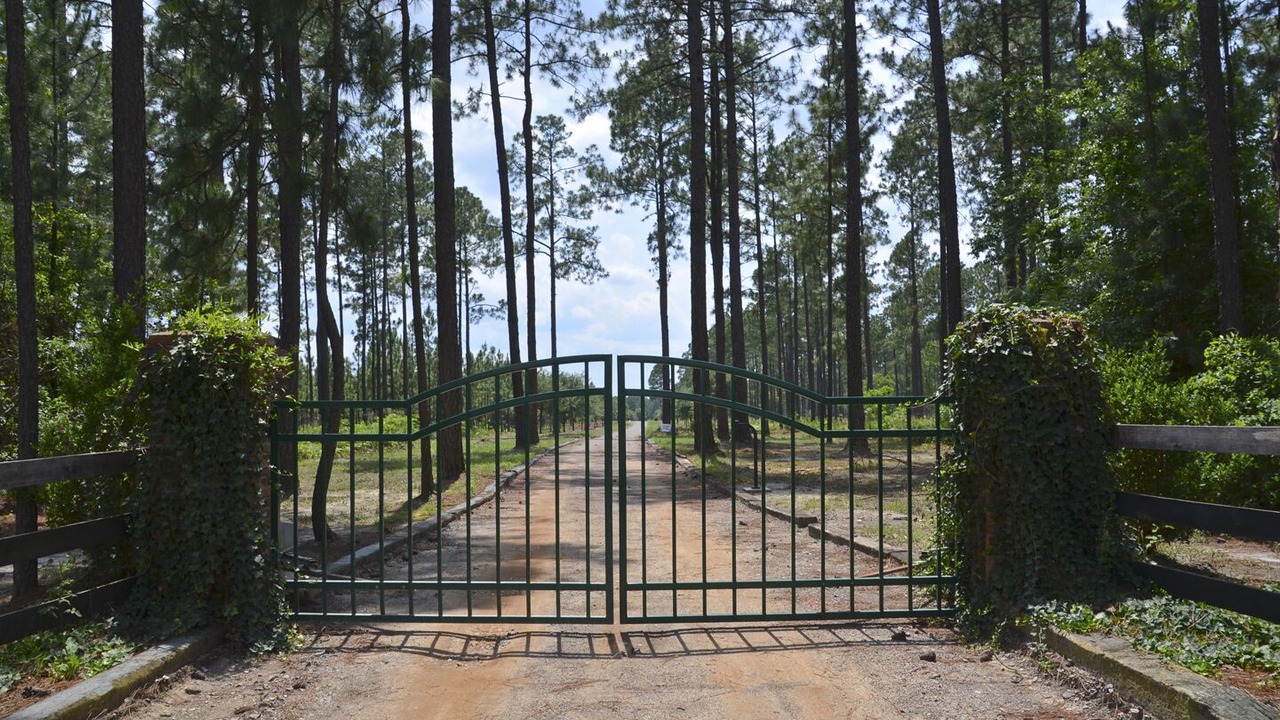 Photo of Others in Aiken