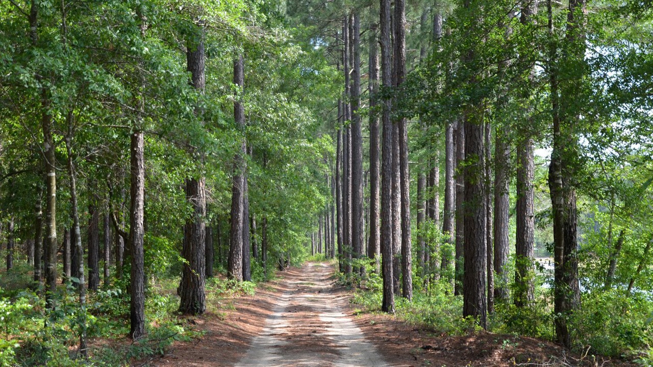 Photo of Others in Aiken