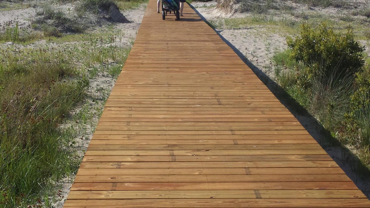 Photo of Others in Saint Helena Island