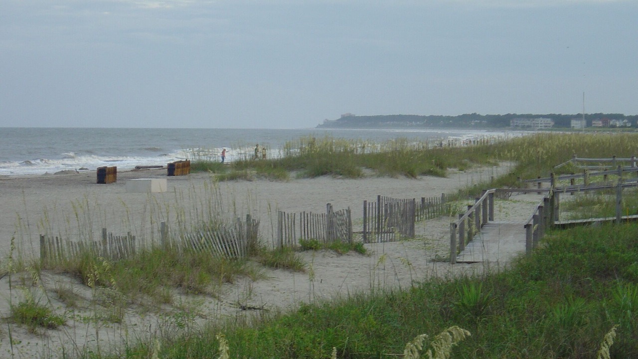 Photo of Others in Bluffton