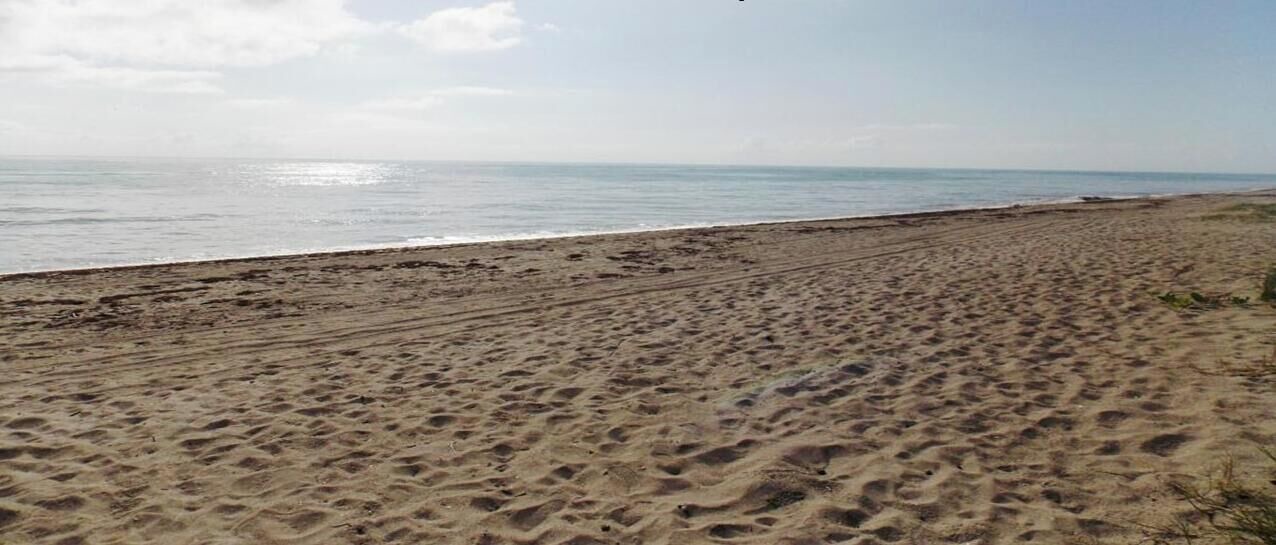 Photo of Others in Fort Pierce
