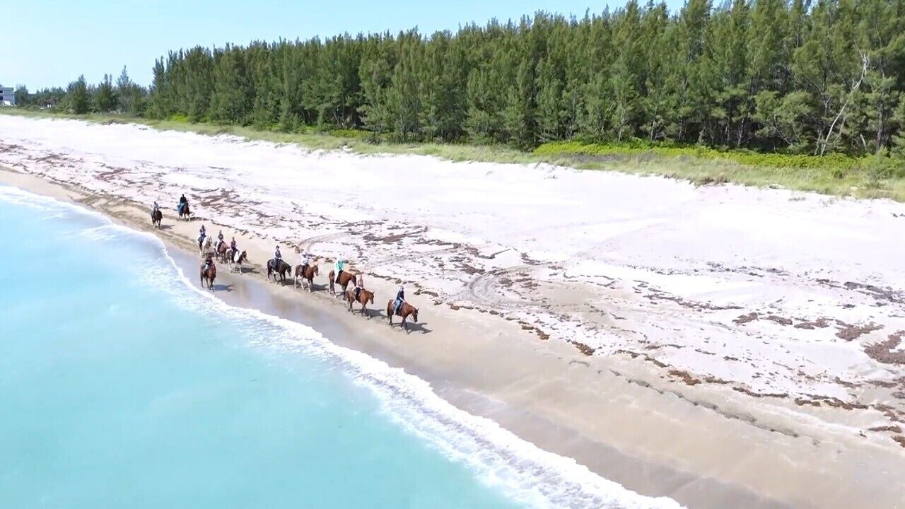 Photo of Others in Fort Pierce