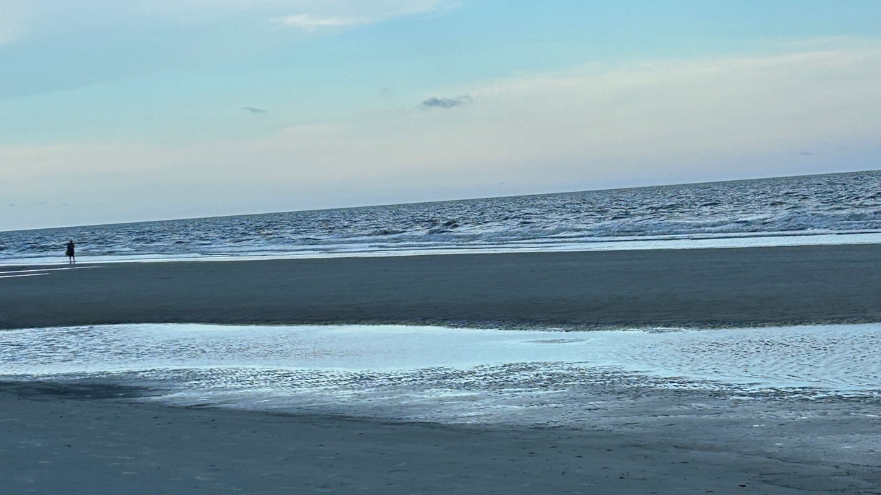 Photo of Others in North Forest Beach