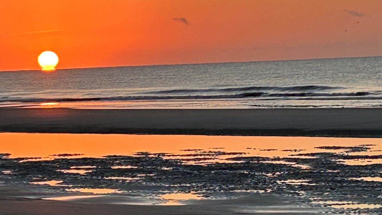 Photo of Others in North Forest Beach