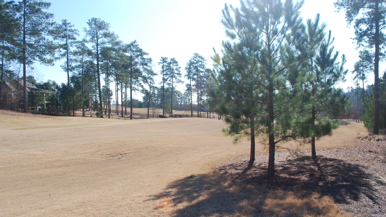Photo of Outdoor in Aiken