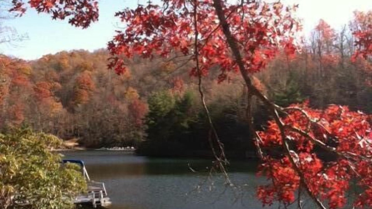 Photo of Outdoor in Brevard