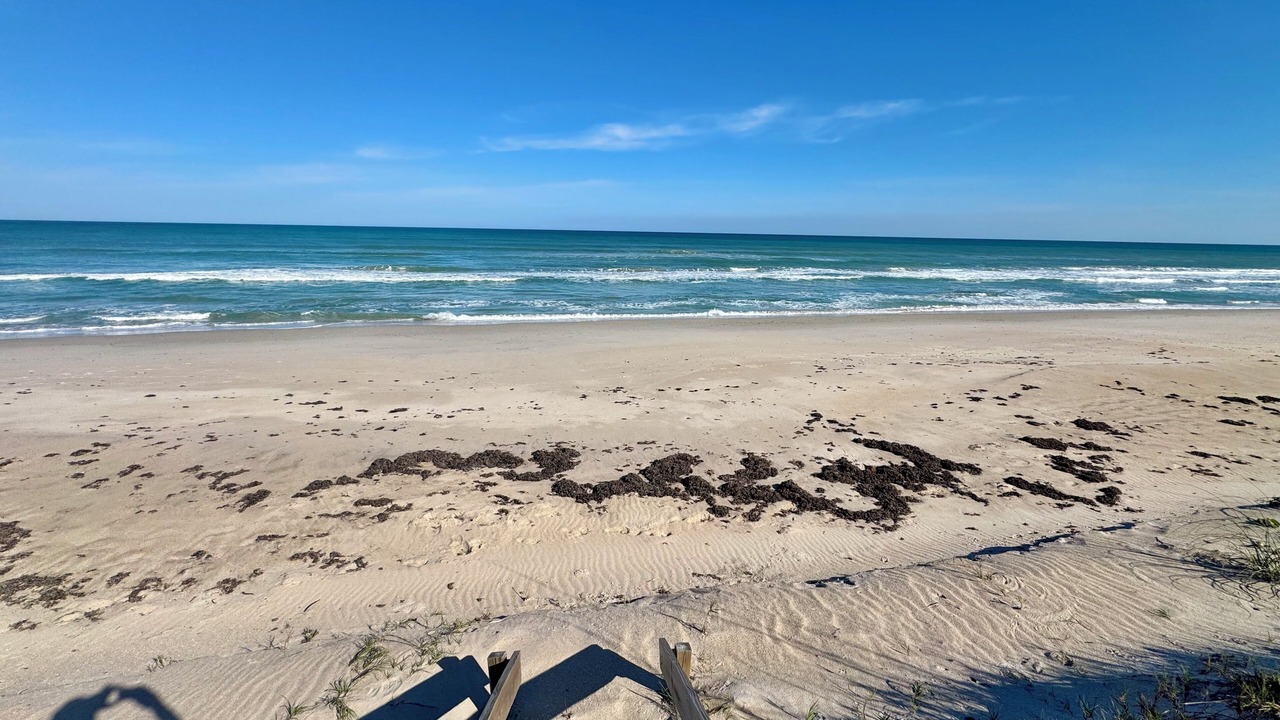 Photo of Others in Ambersand Beach