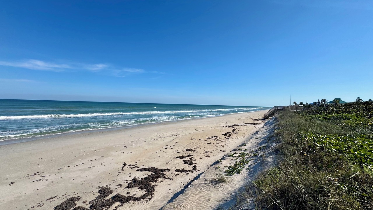 Photo of Others in Ambersand Beach