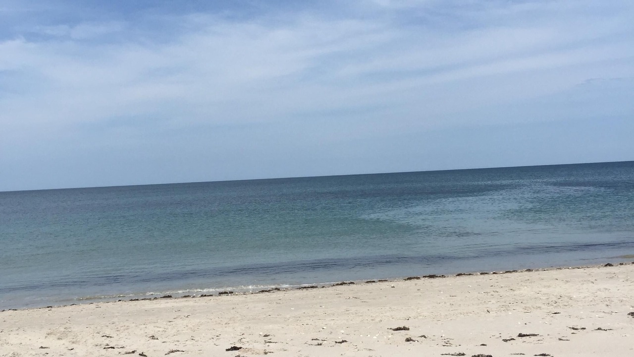 Photo of Others in Central Beach