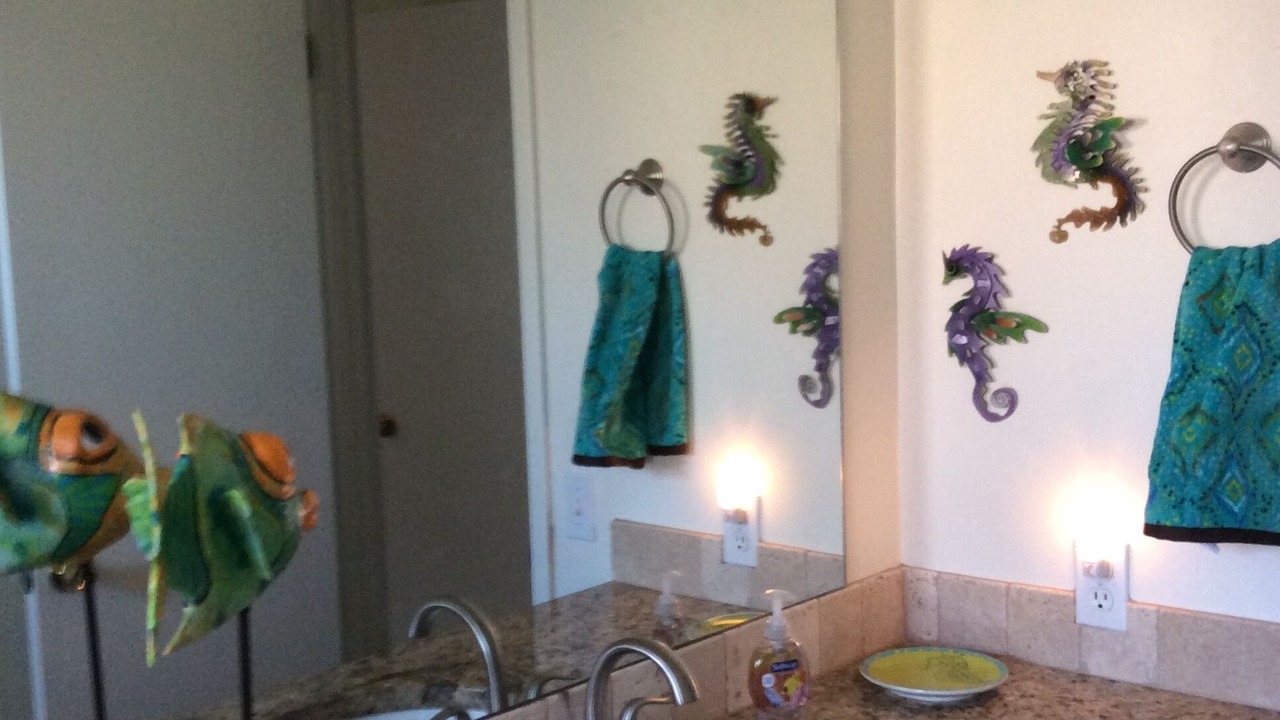 Photo of Bathroom in Melbourne Beach