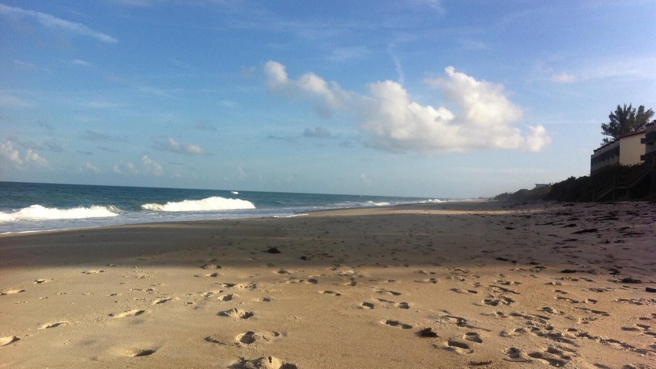 Photo of Others in Melbourne Beach