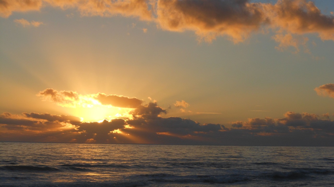 Photo of Others in Melbourne Beach