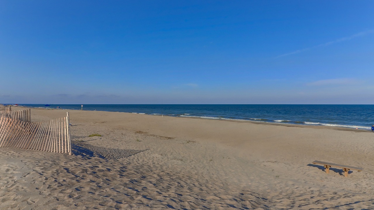 Photo of Others in Edisto Island