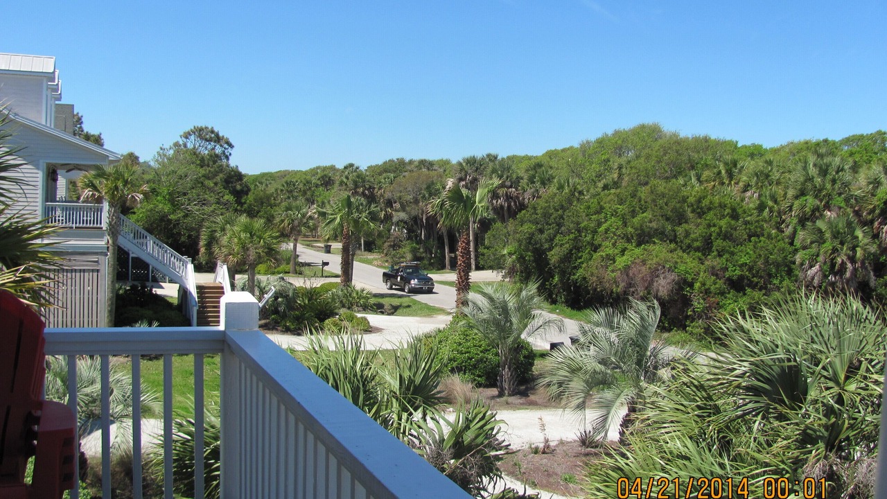 Photo of Outdoor in Edisto Island