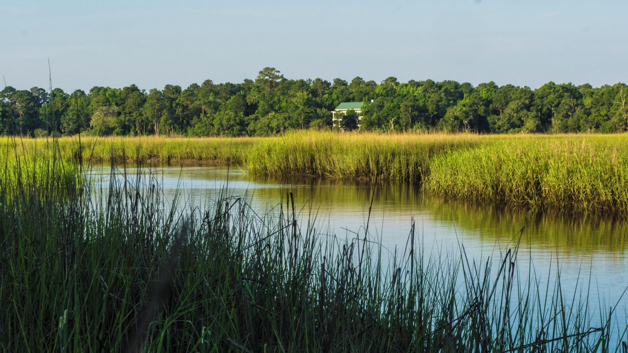 Photo of Outdoor in Knowles Island Plantation