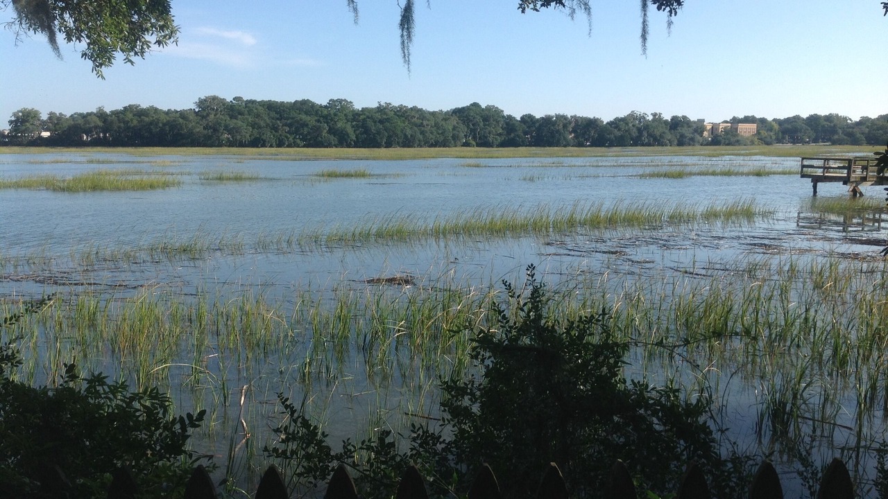 Photo of Outdoor in Beaufort
