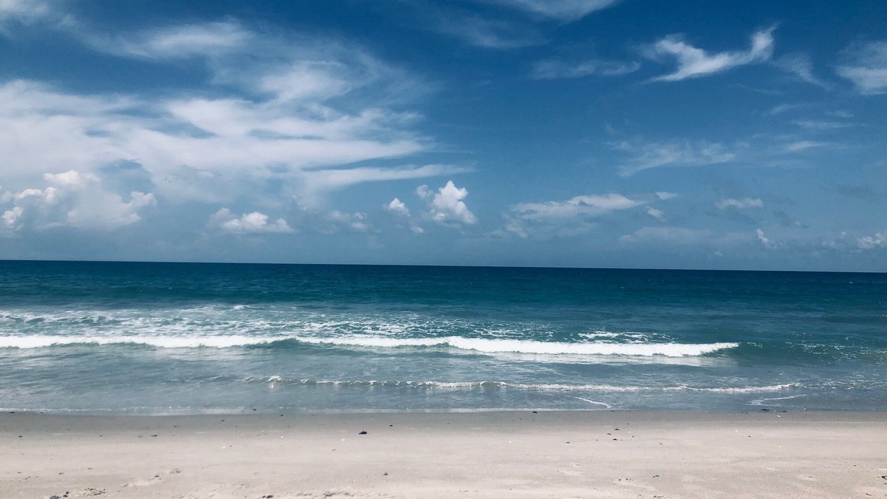 Photo of Others in Melbourne Beach