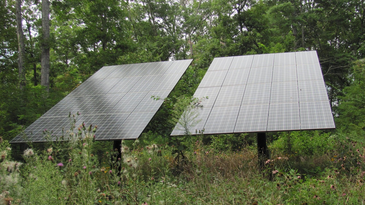 Photo of Others in Tuckasegee