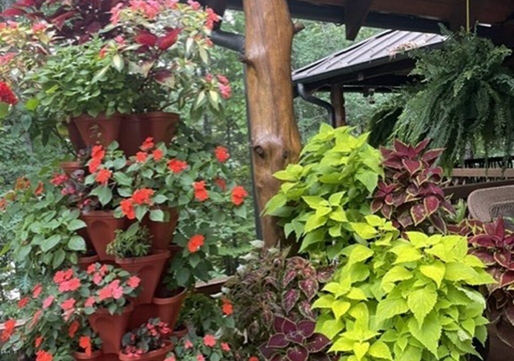 Photo of Outdoor in Tuckasegee