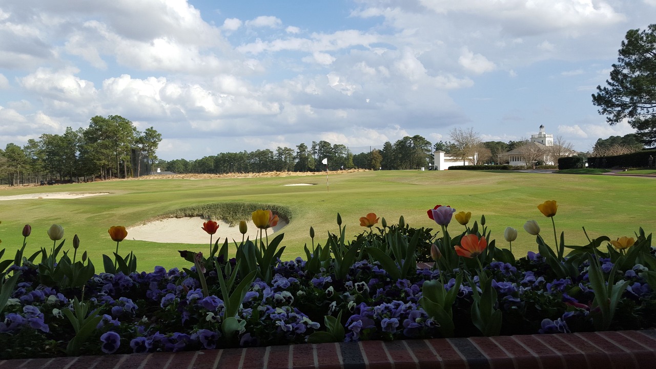 Photo of Others in Pinehurst