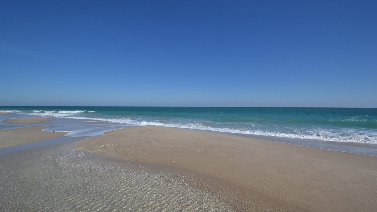 Photo of Others in South Beach