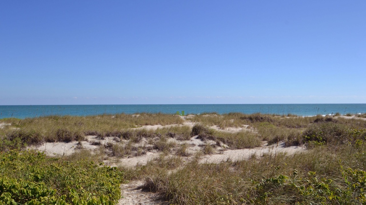 Photo of Others in South Beach