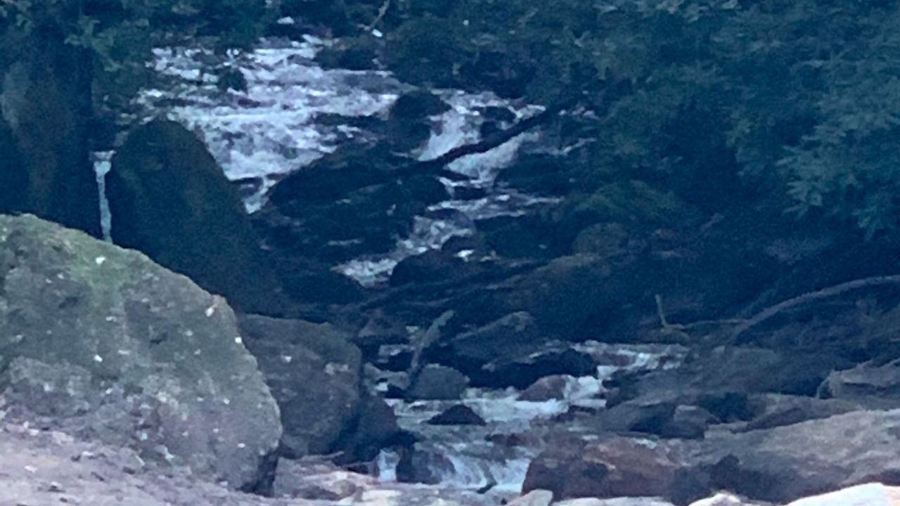 Photo of Outdoor in Topton