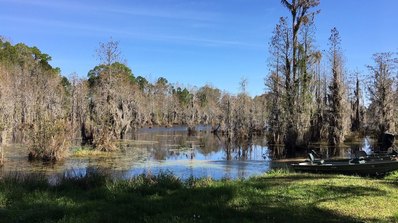Photo of Outdoor in Blackshear