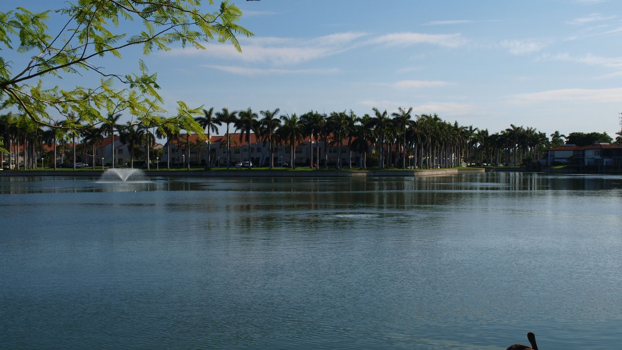 Photo of Outdoor in St. Petersburg