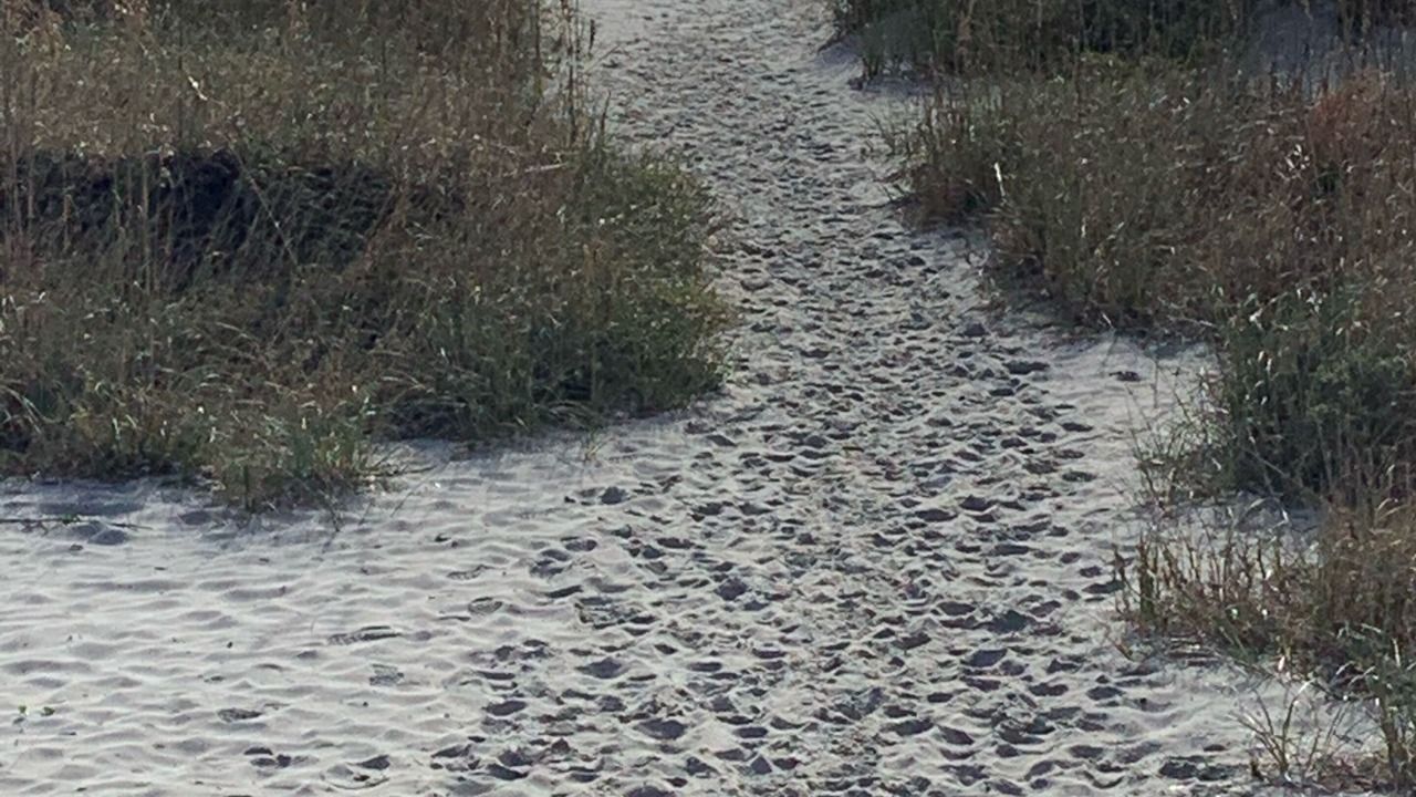 Photo of Others in Folly Field