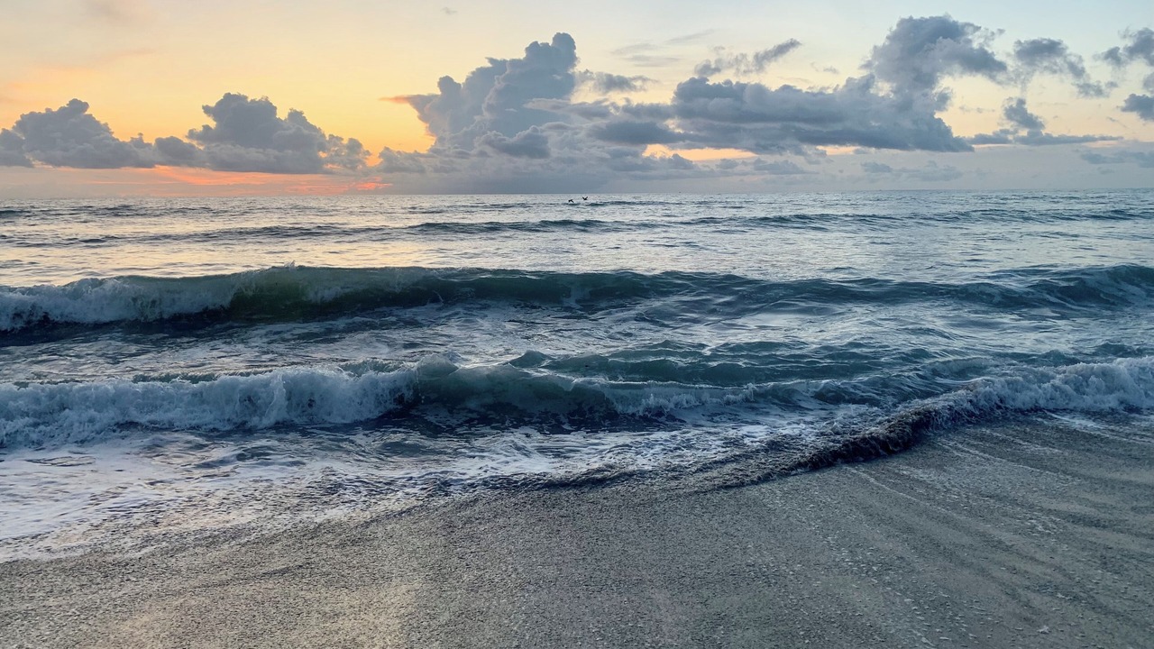 Photo of Others in Hobe Sound