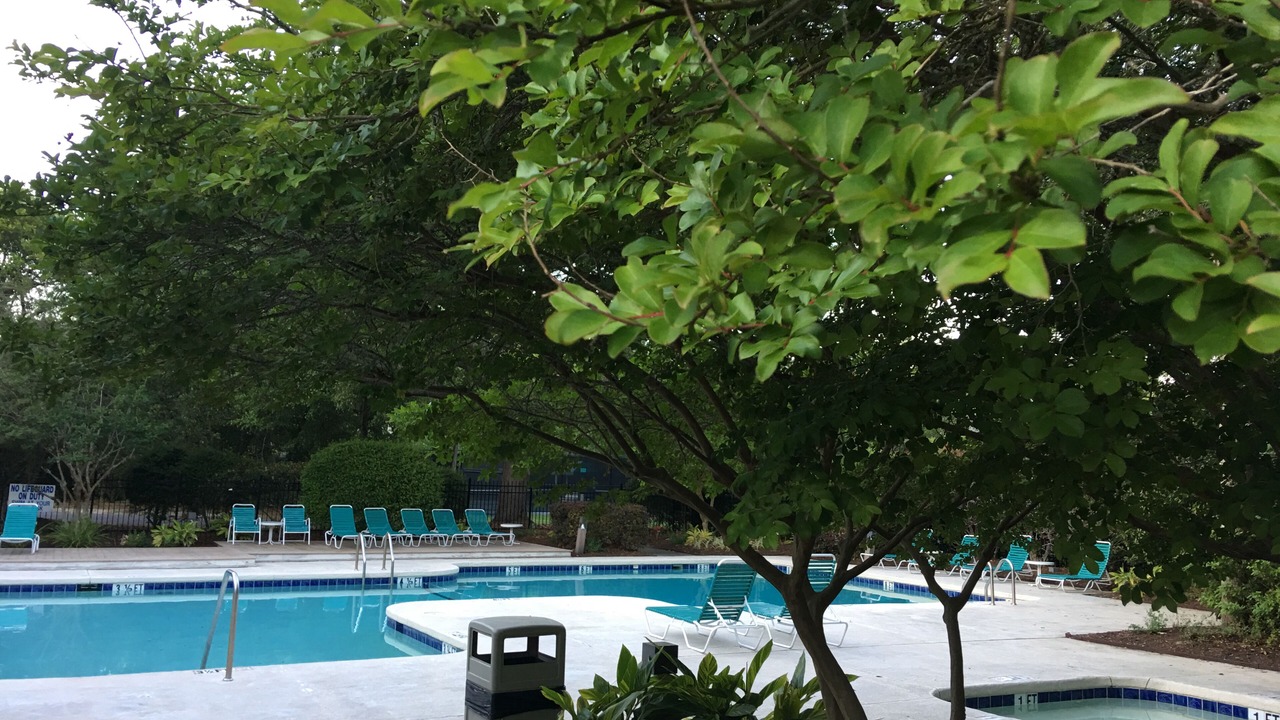 Photo of Outdoor in Seabrook Island