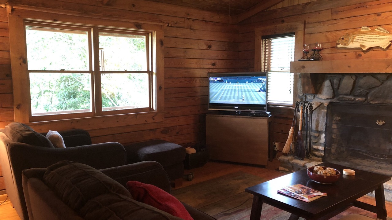 Photo of Livingroom in Brevard