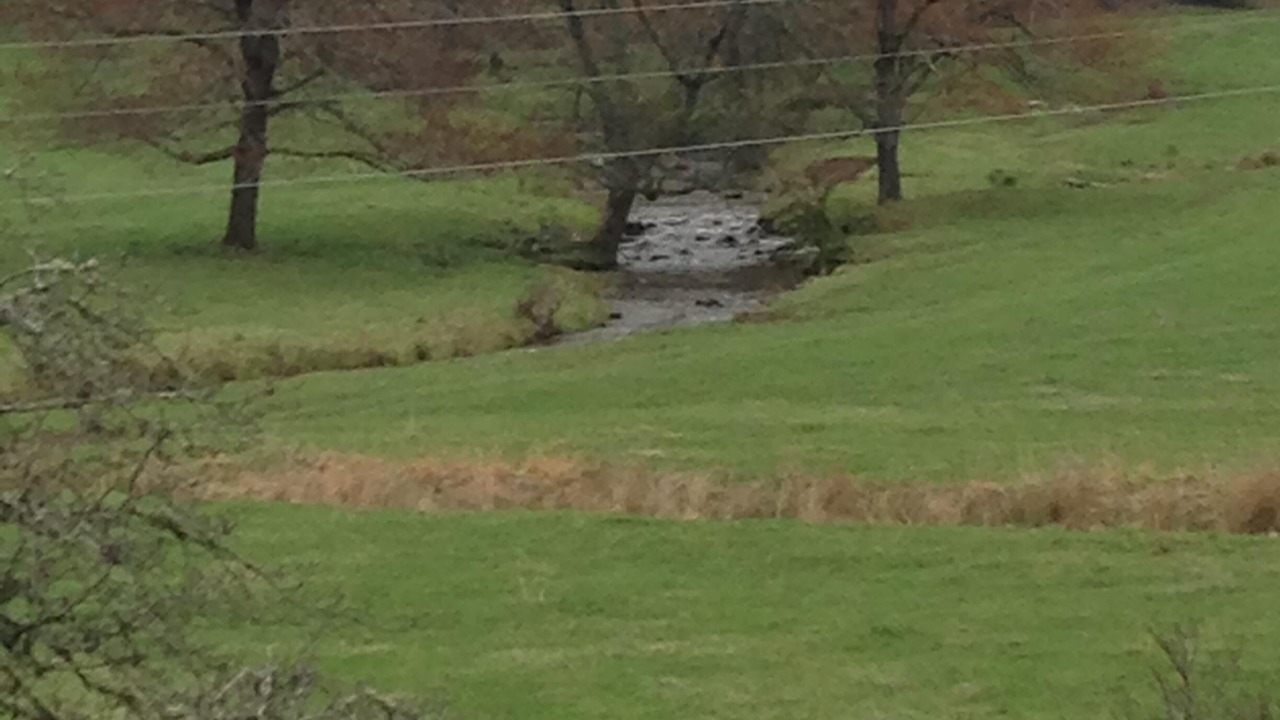 Photo of Outdoor in Brevard