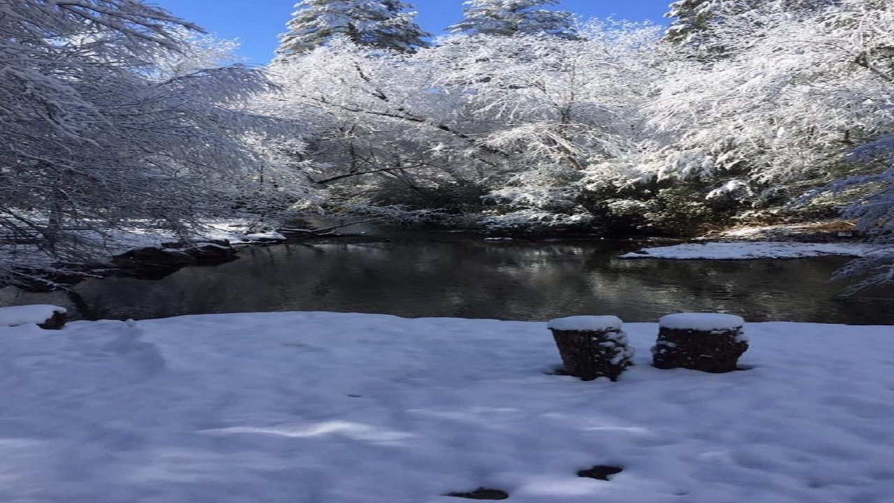 Photo of Others in Mountain Rest
