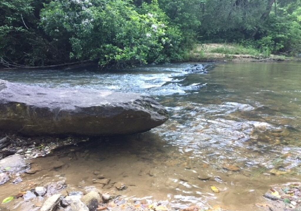 Photo of Outdoor in Mountain Rest