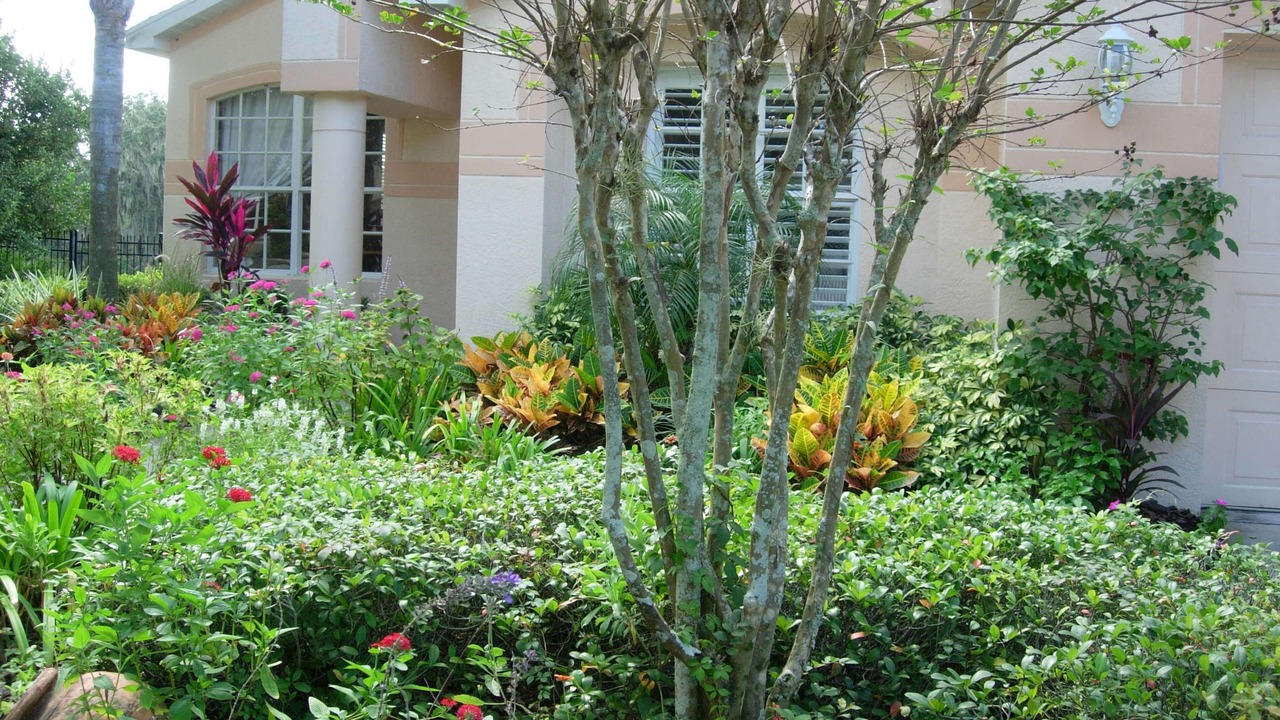 Photo of Outdoor in FishHawk Ranch