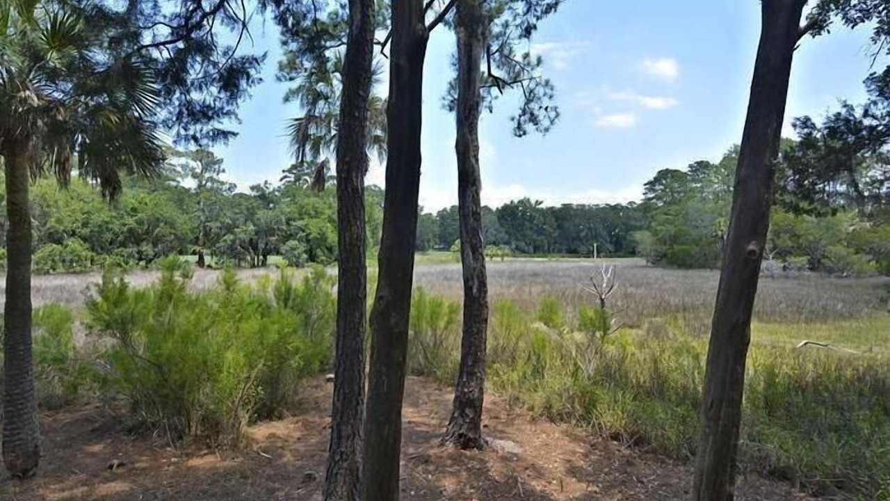Photo of Others in Moss Creek