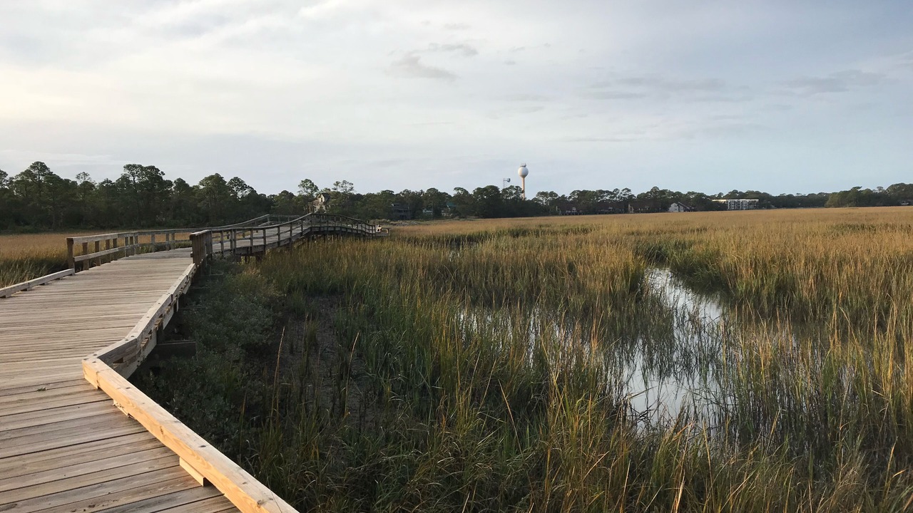 Photo of Others in Saint Helena Island