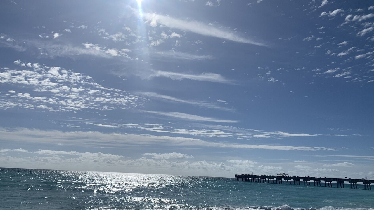 Photo of Others in Hutchinson Island South