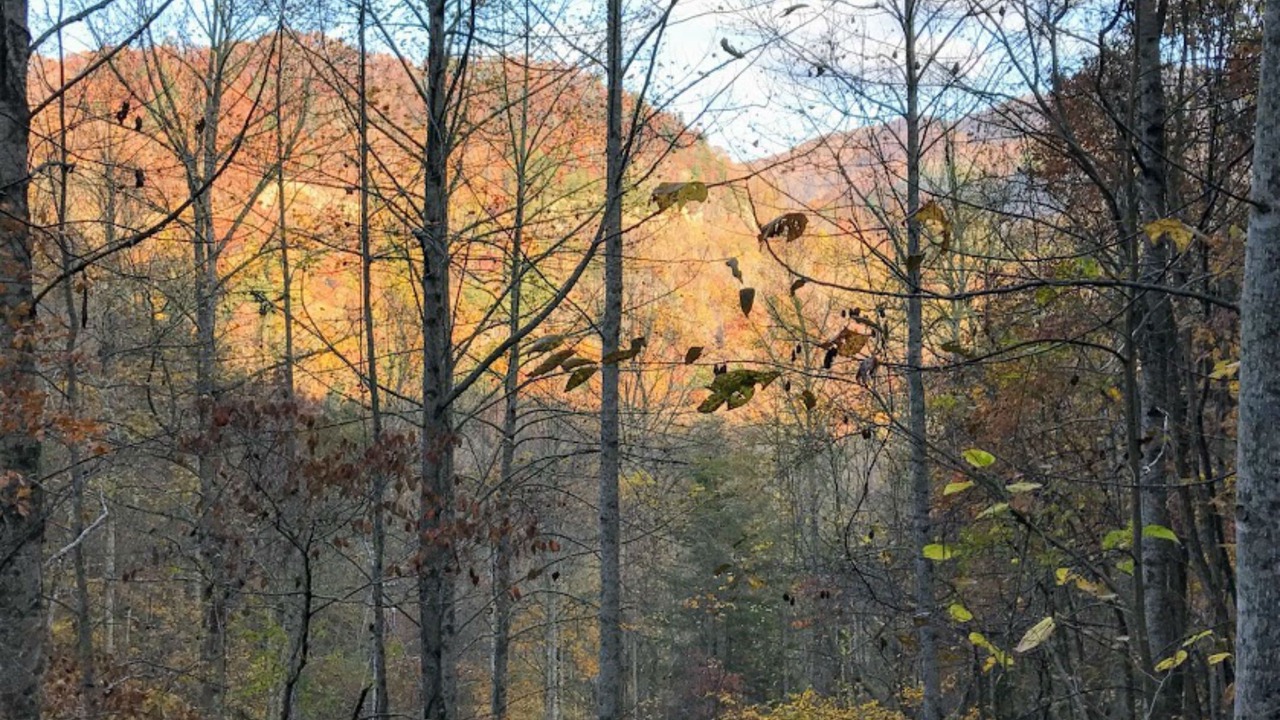 Photo of Outdoor in Topton