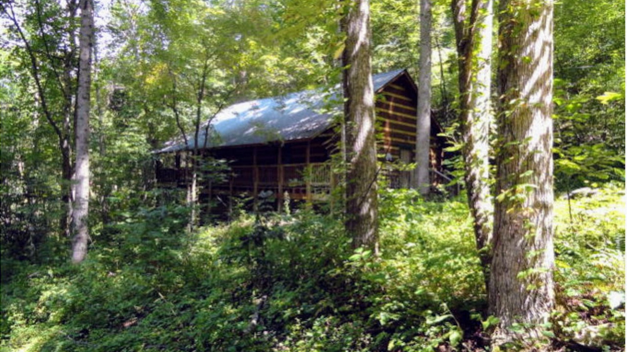 Photo of Outdoor in Topton