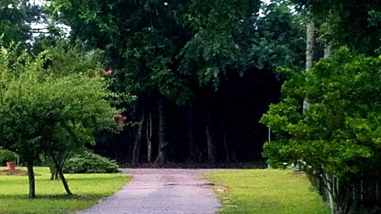 Photo of Outdoor in Aiken