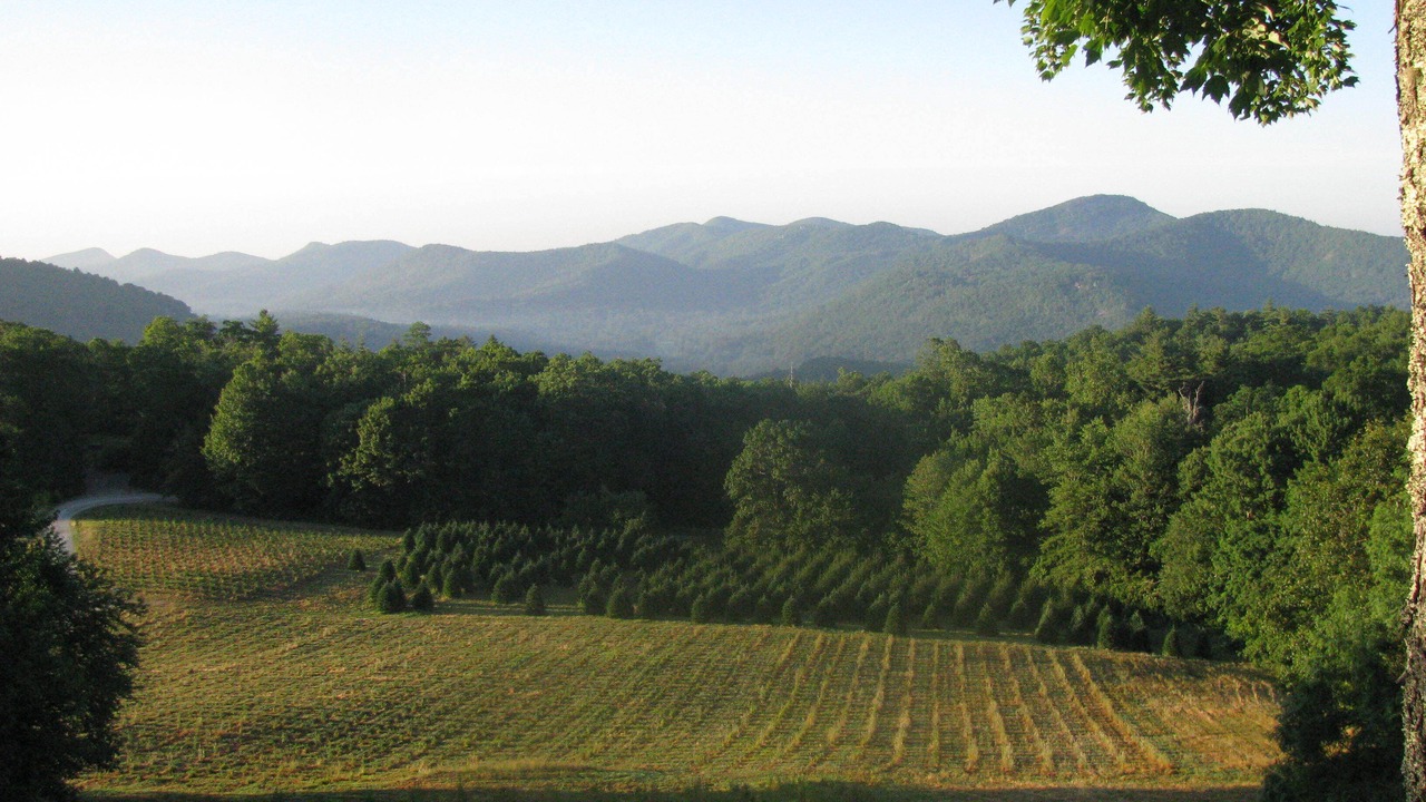 Photo of Outdoor in Glenville
